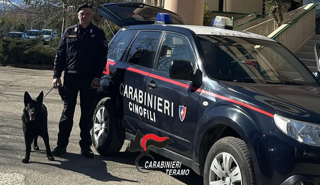 Un Bar Come Base Di Uso E Spaccio Di Droga Due Arresti A Teramo