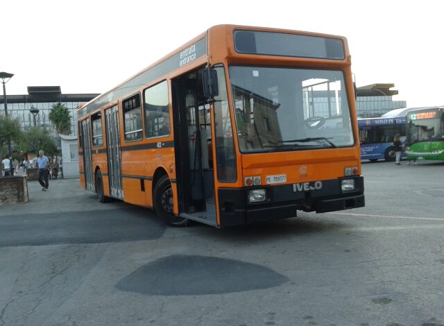 autobus gtm